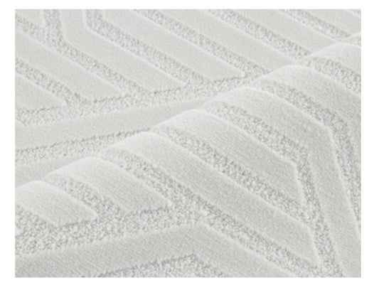 銀河世界  矽藻絲抗污立體紋路地毯